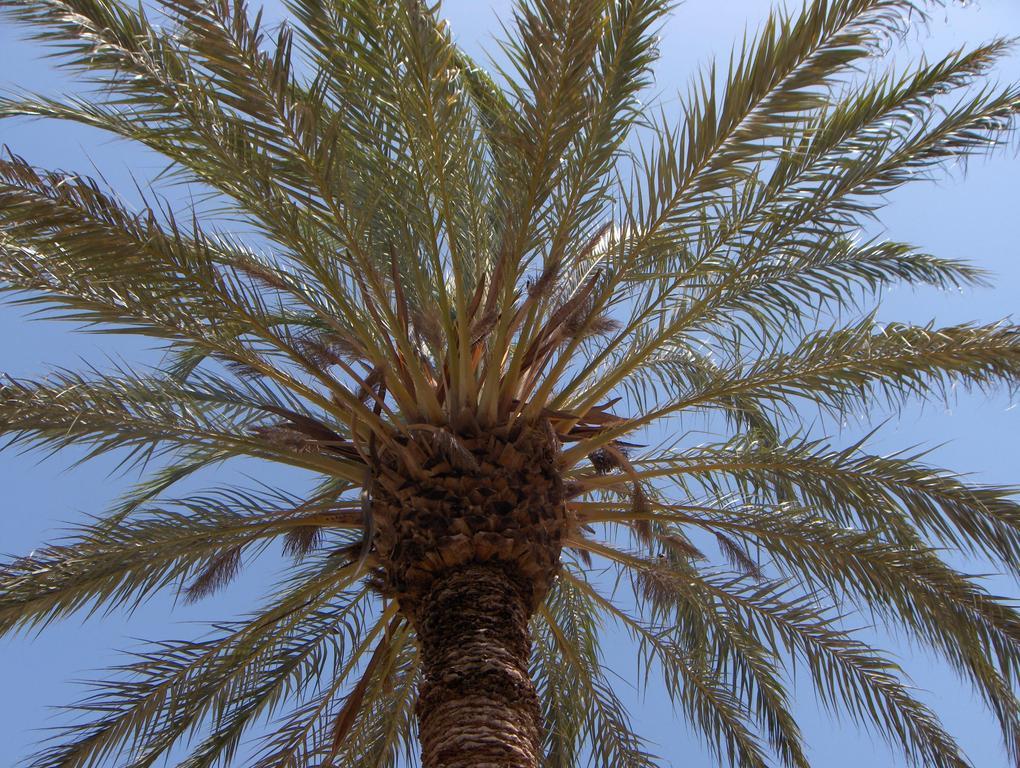 فندق Le Jardin Des Epices تارودانت‎ المظهر الخارجي الصورة