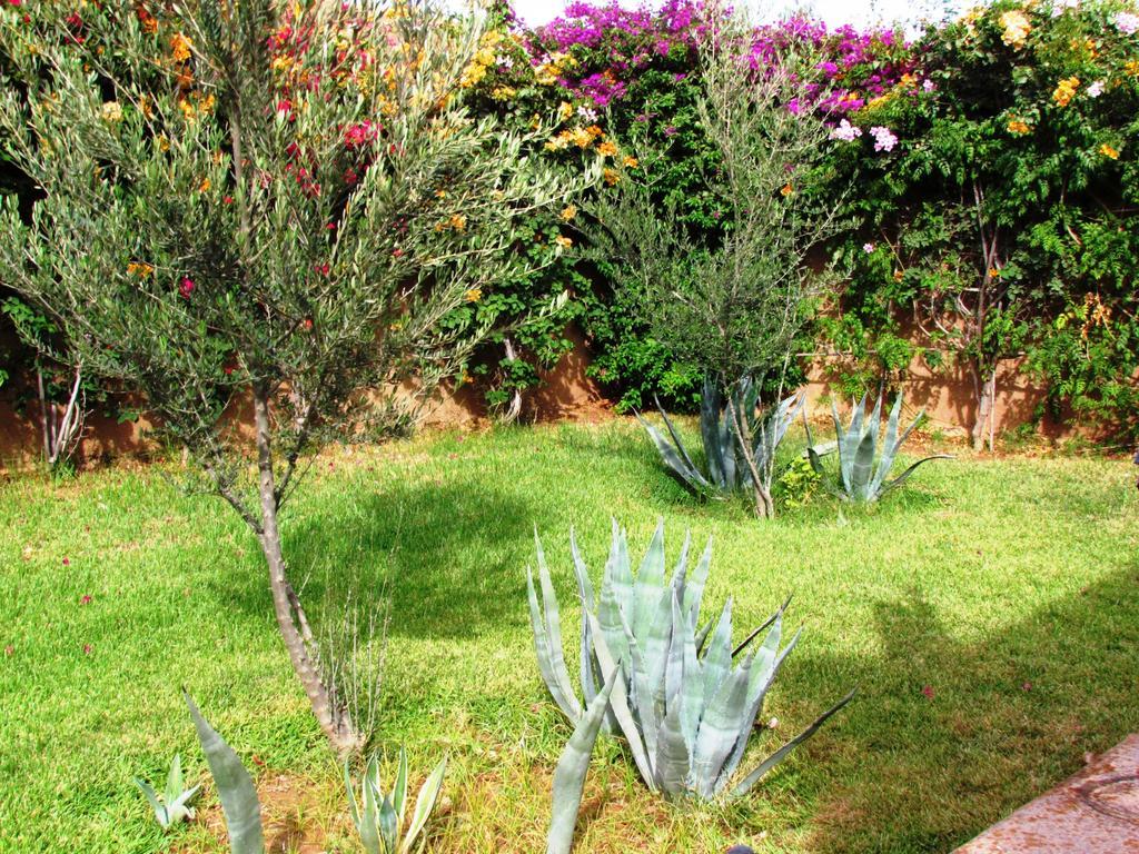 فندق Le Jardin Des Epices تارودانت‎ المظهر الخارجي الصورة