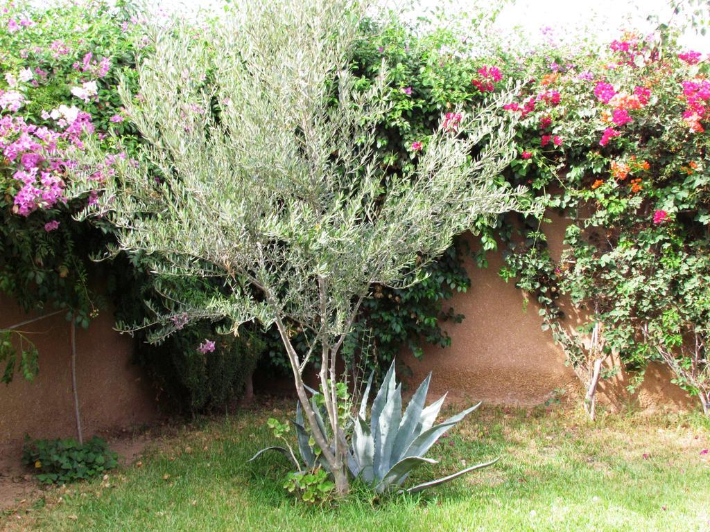 فندق Le Jardin Des Epices تارودانت‎ المظهر الخارجي الصورة