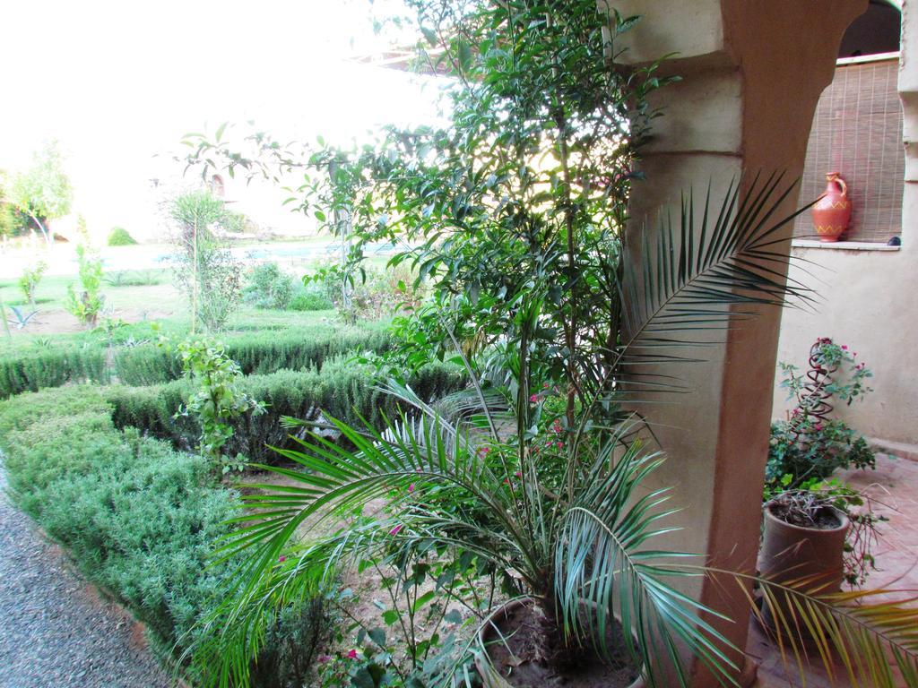 فندق Le Jardin Des Epices تارودانت‎ المظهر الخارجي الصورة