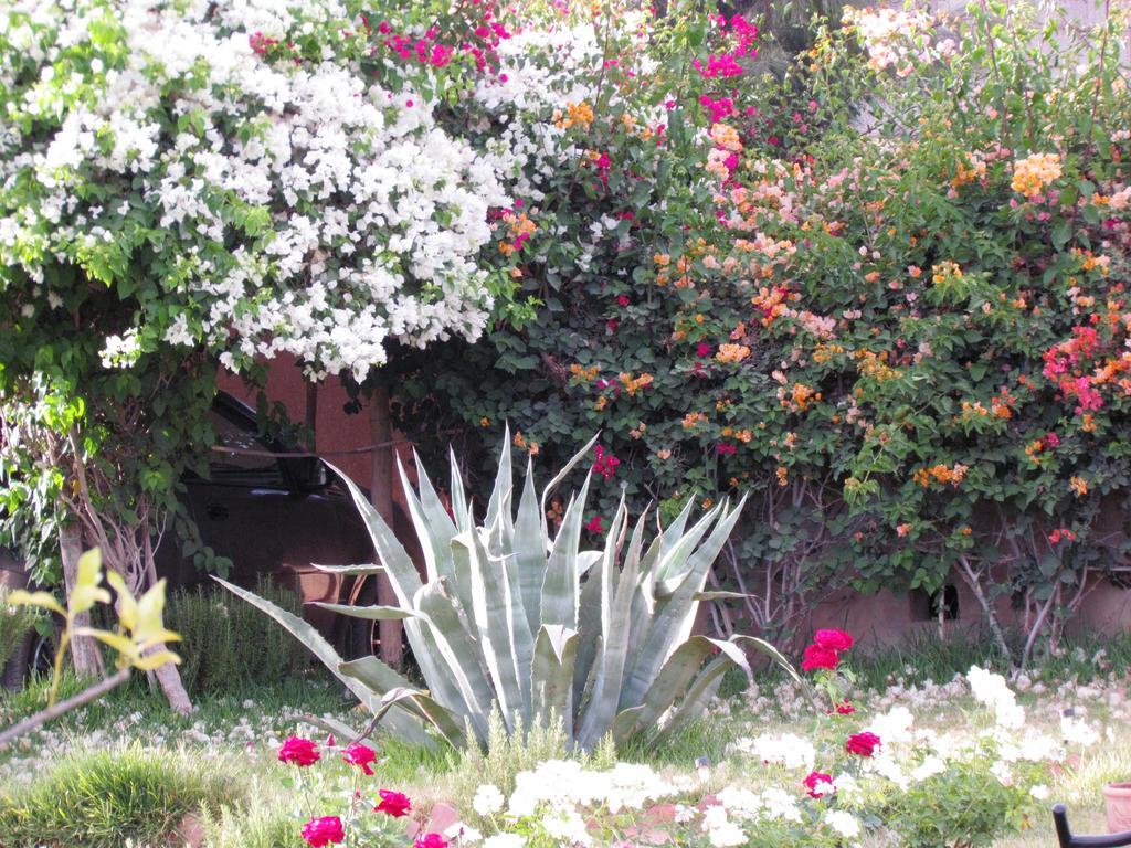فندق Le Jardin Des Epices تارودانت‎ المظهر الخارجي الصورة