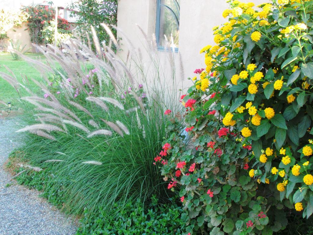 فندق Le Jardin Des Epices تارودانت‎ المظهر الخارجي الصورة